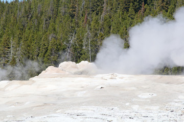 Geyser