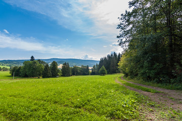 Zielona polana w górach, Czechy