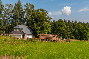 Zielona polana w górach, Czechy