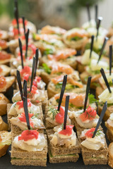 Crostini with different toppings on wooden background. Delicious appetizers. Front view. Gourmet appetizers: caviar, venison, tuna and salmon. vertical photo
