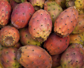 I buonissimi frutti di Fichi d'India