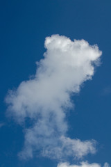 rising cloud on a perfect blue sky