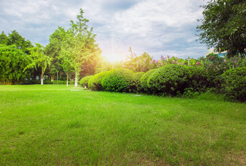 City park, green meadows and lush forests at summer sunset