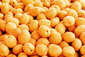bright apricots in the market
