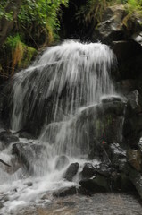 Obraz premium Карпати