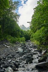Stone bed of the river, Summer in Sochi