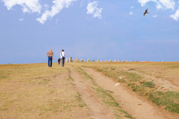 Die Steine von Ale, Ales stenar, Kåseberga, Ystad, Skåne, Schweden, Touristen, Adler