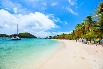 Store enrouleur tamisant sans perçage Plage tropicale Idyllic beach at Caribbean