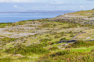 Farms field with with stone walls and Galway bay in background