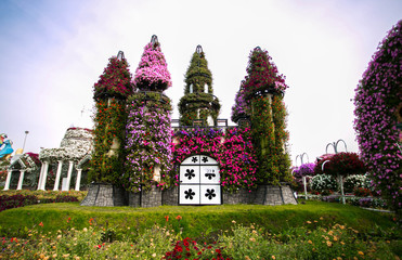 Naklejka premium Miracle Garden in Dubai, UAE