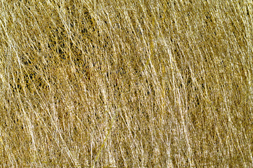 Shiny hot yellow gold foil golden color glitter decorative texture paper: Bright brilliant festive metallic textured empty wallpaper backdrop: Tin metal material for holiday craft design decoration