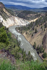 Fototapeta na wymiar Yellowstone river and Yellowstone canyon