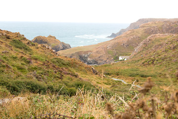 Fototapeta premium Foodpath to Kynance Cove (Porth Keynans)The Lizard Peninsula West Cornwall South England UK