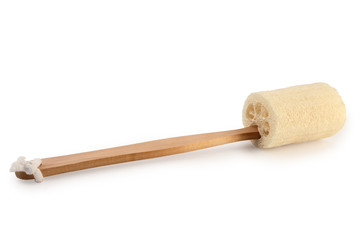 Luffa sponge isolated with clipping path.