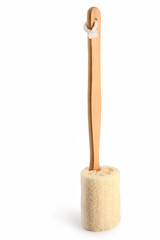 Luffa sponge isolated with clipping path.