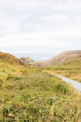 Foodpath to Kynance Cove (Porth Keynans)The Lizard Peninsula West Cornwall South England UK