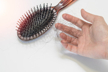 Hand of Female hold falling hair with black comb brush with long loss woman hair on white background for head healthcare problem with copyspace. Hair fall after combing in hairbrush.