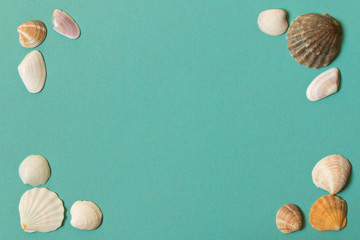 Different seashells on blue background. Conceptual frame for a photo
