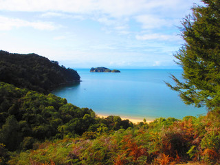 Fototapeta na wymiar Beautiful view over the forests of a sandy bay in Abel Tasman National Park in New Zealand on a sunny day.