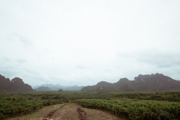 landscape in asia on a cloudy day