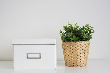 Green herb in flowerpot and white box on white background home interior