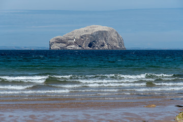 Bass Rock Gannets Firth of Forth - 219662937