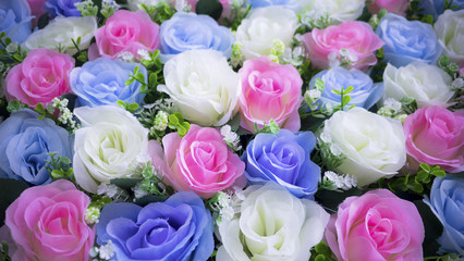 rose flower plastic white and purple concept background love