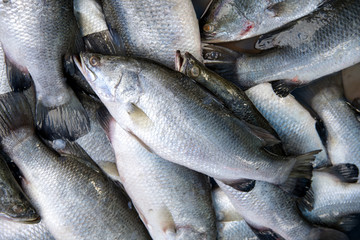 Seabass, cooked several ways and is delicious sold in the market mornings, Songkhla province Thailand country of healthy foods