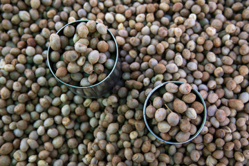 Bambara groundnut nuts are a great snack to eat a healthful new or used as animal feed.