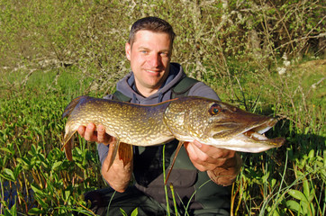 Scène de pêche en eau douce. Pêcheur de carnassier tenant un gros brochet pris au leurre dans un...
