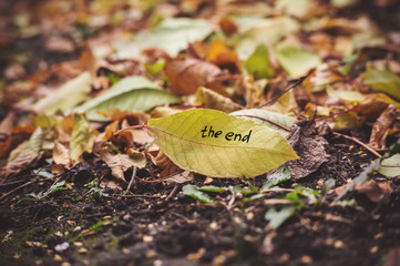 The inscription the end on the yellow autumn leaf in a heap of yellow leaves. Fallen leaves...