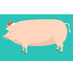 Pig in a cap of Santa Claus  vector illustration flat 