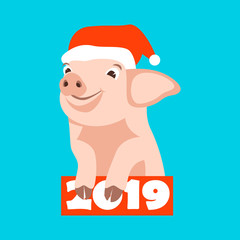 Pig in a cap of Santa Claus  vector illustration flat style