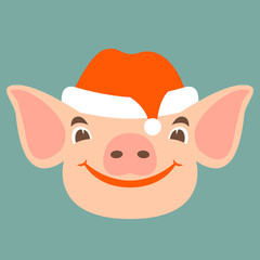 Pig in a cap of Santa Claus  vector illustration flat 