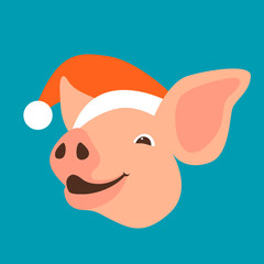 Pig in a cap of Santa Claus  vector illustration flat 