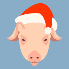 Pig in a cap of Santa Claus  vector illustration flat 