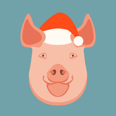 Pig in a cap of Santa Claus  vector illustration flat 