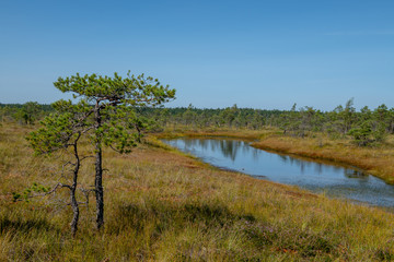 Great Kemer castle trail