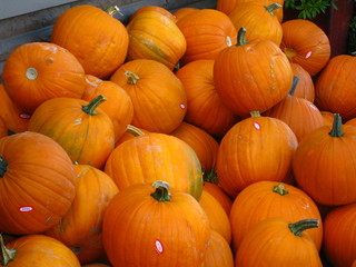 Pumpkins