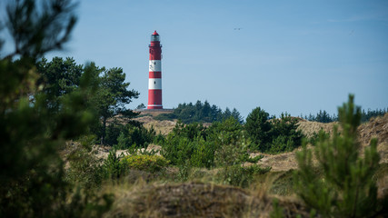 Fototapeta na wymiar Amrum Nordsee Insel