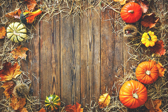 Harvest or Thanksgiving background with gourds and straw