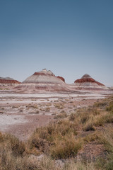 Petrified Forest