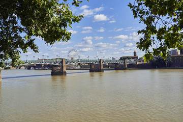 Obraz premium View of Toulouse from the river