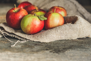 apples. food background. top view