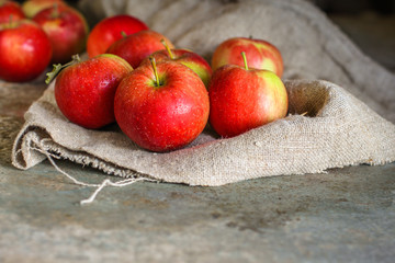 apples. food background. top view