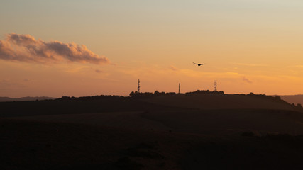 Stunning kestrel hovers in Summer sunset landscape image of South Downs National Park in English countryisde