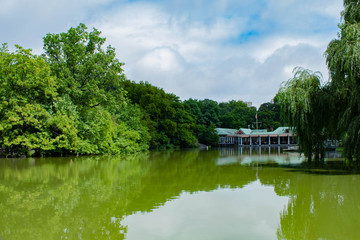 Acid green watercolor pond,, Central Park , NYC