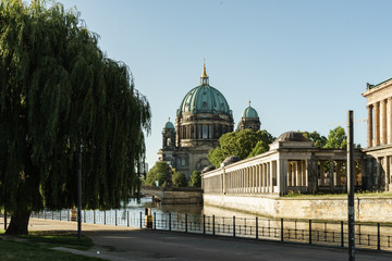 Berliner Dom mit Baum © Erika Wehde