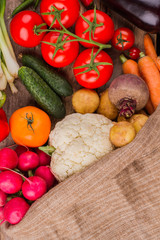 Variety of different vegetables. Top view. Tomatoes, cucumbers, beetroot, cauliflower and radishes.