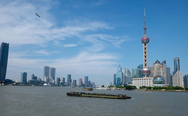 Shanghai city skyline, Panoramic view of shanghai city